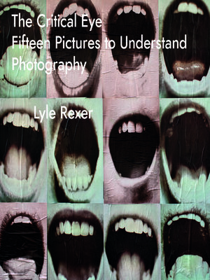 cover image of The Critical Eye